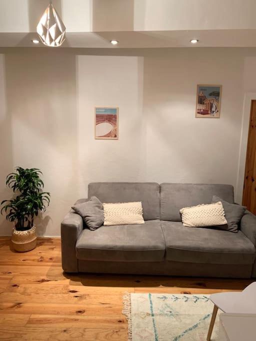 Apartament Le Petit Cocon Nimois Nîmes Zewnętrze zdjęcie
