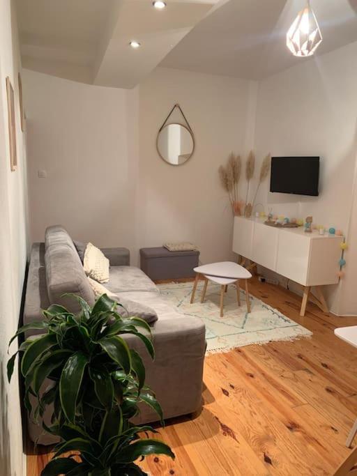 Apartament Le Petit Cocon Nimois Nîmes Zewnętrze zdjęcie